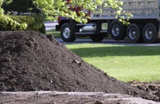 Чорнозем луговий з доставкой.