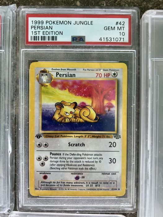 Coleção INGLÊS Pokémon PSA 10 1ª Edição Vintage + Boosters Selados WOTC | Base Set, Jungle, Fossil | Investimento Raro