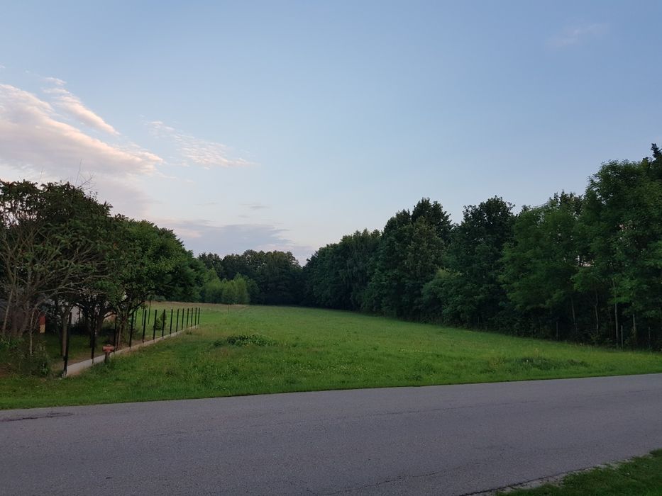 Sprzedam  działkę  5170m²