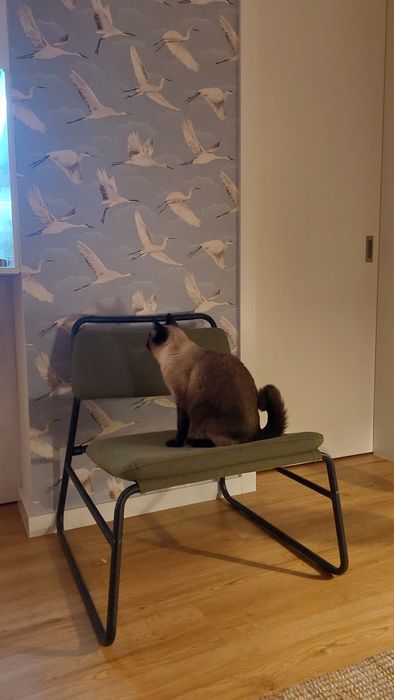 2 Poltronas verdes Ikea