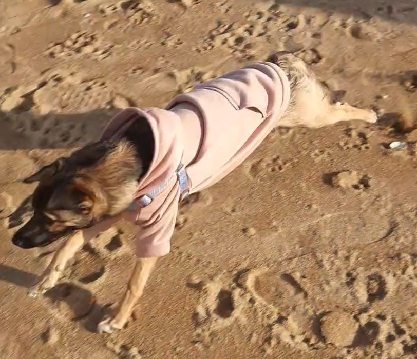 Мила  Бетті шукає родину