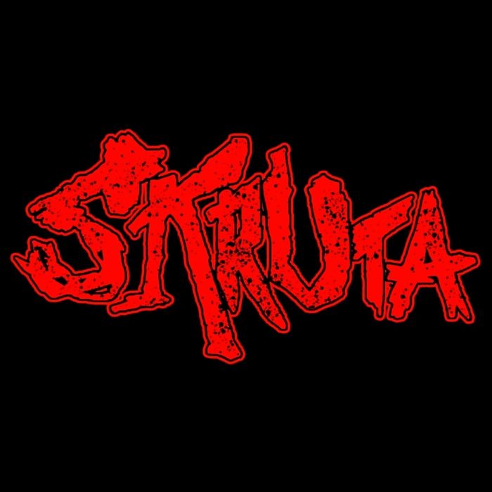 Гітарист в Хардкор/Індастріал гурт