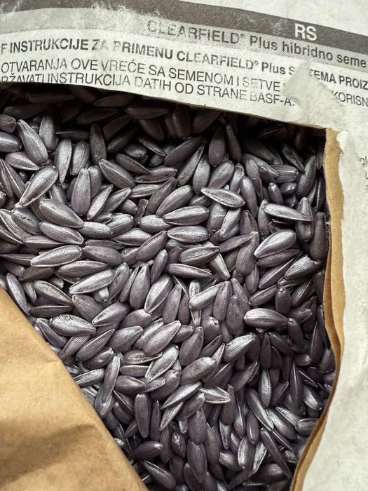 Алуріс насіння соняшнику під євролайтінг плюс