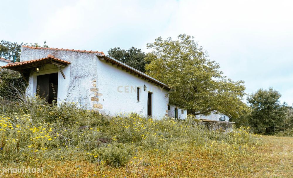 Quintinha em Alenquer com Excelente Potencial – 5,8 Hectares