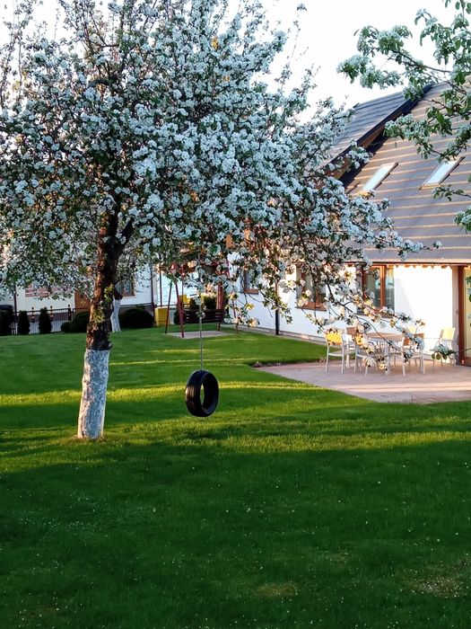 Apartamenty Kaszuby