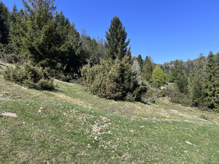 Продається ділянка  у селі Синевир