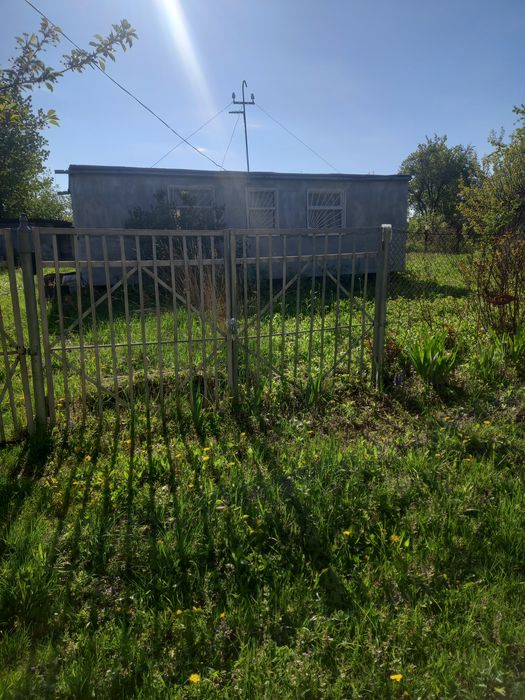 Дача с.Грузевиця(Вишневий сад)