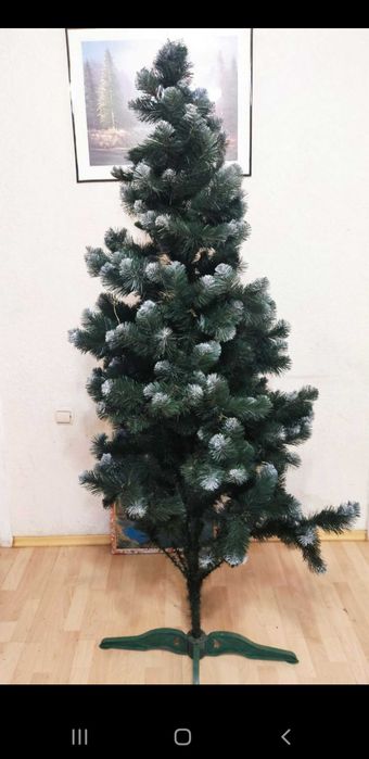 Ёлка , ёлочка , ялинка . Пышная, пишна 180см. Красивая