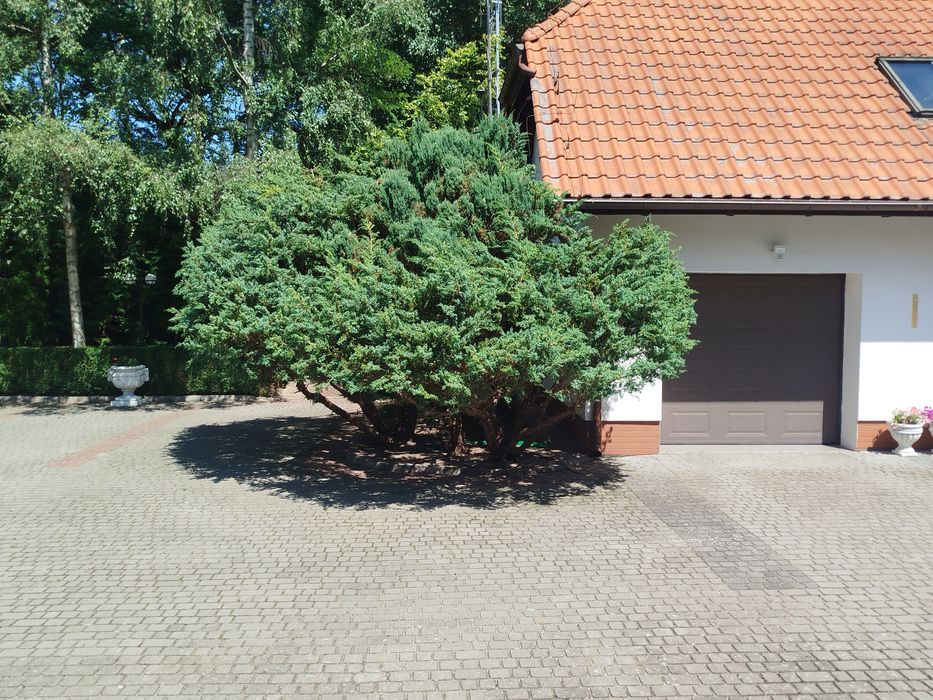 Pielęgnacja ogrodu