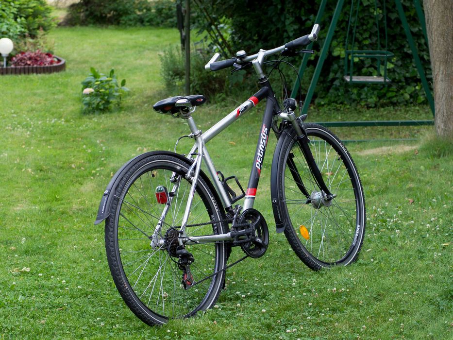 Rower Pegasus Avanti Sport koła 28''