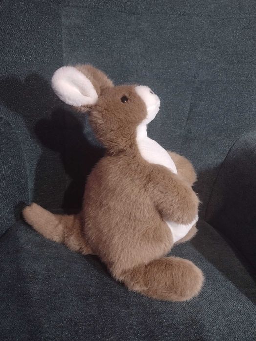 Кіт - рюкзак та кенгуру