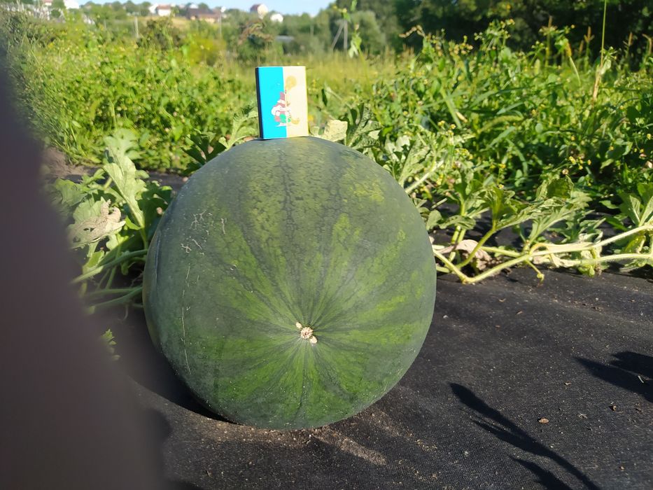 Будинок 80 м² 26 оот. У Луцьку