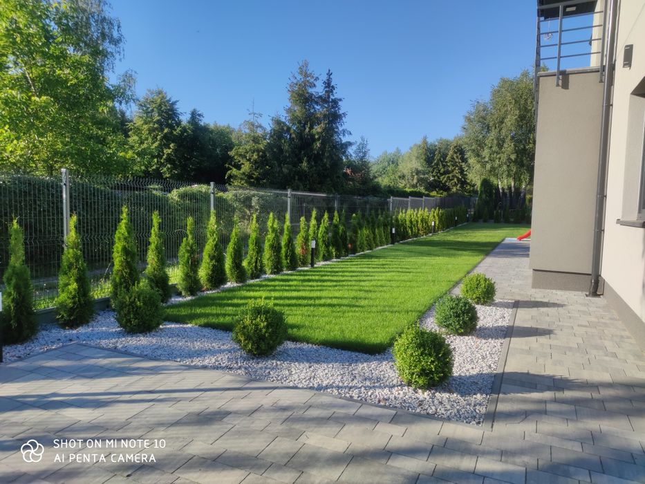 Zakładanie ogrodów - trawnik z rolki - nawadnianie