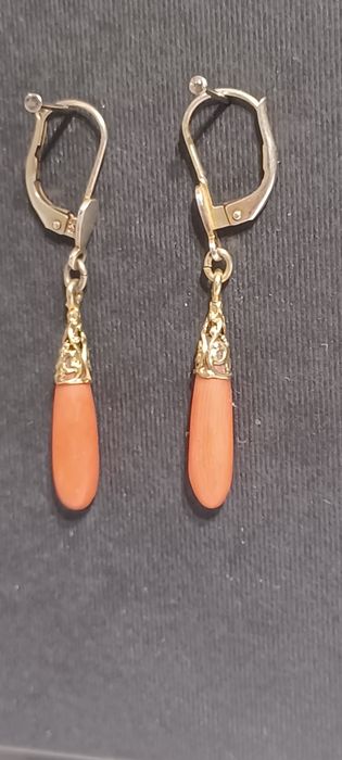 Złote kolczyki z koralem. Ok. 1900 rok. 41 mm.