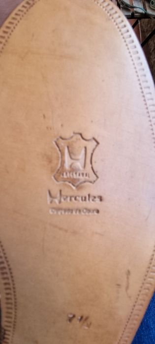 Sapatos de homem em pele