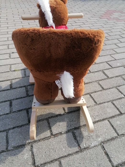 Koń na biegunach