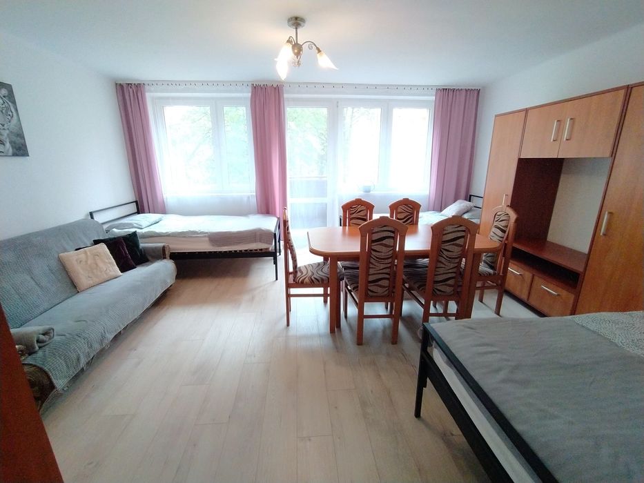 Mieszkanie do wynajęcia. Kwatery pracownicze