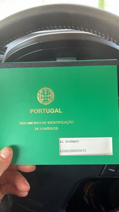 Cavalo Lazao castrado livro verde 8 anos