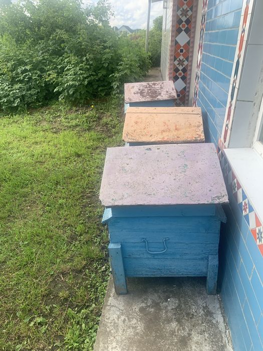 Продам вулики б/у, залишилось 3 шт.( в деяких ще є рамки)