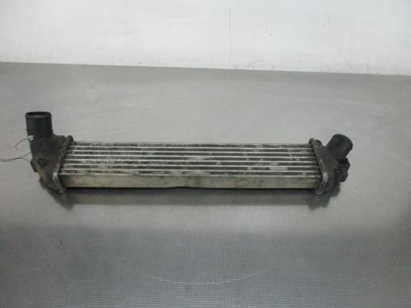 Radiador do intercooler RENAULT Kangoo (KC0/1_)