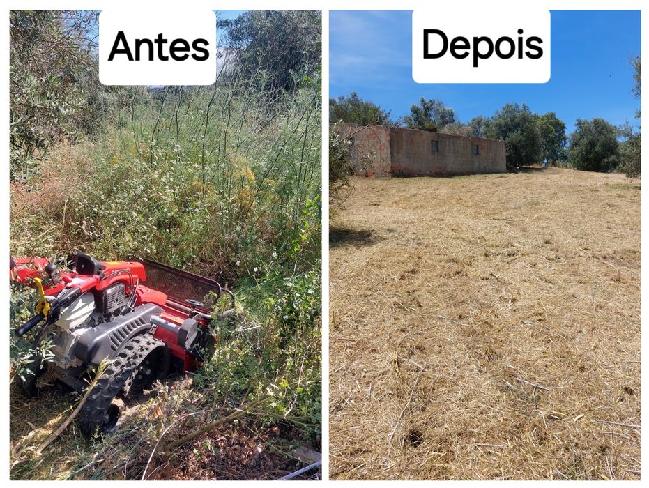 Limpeza de terrenos com destroçador pedestre- rápido e eficaz