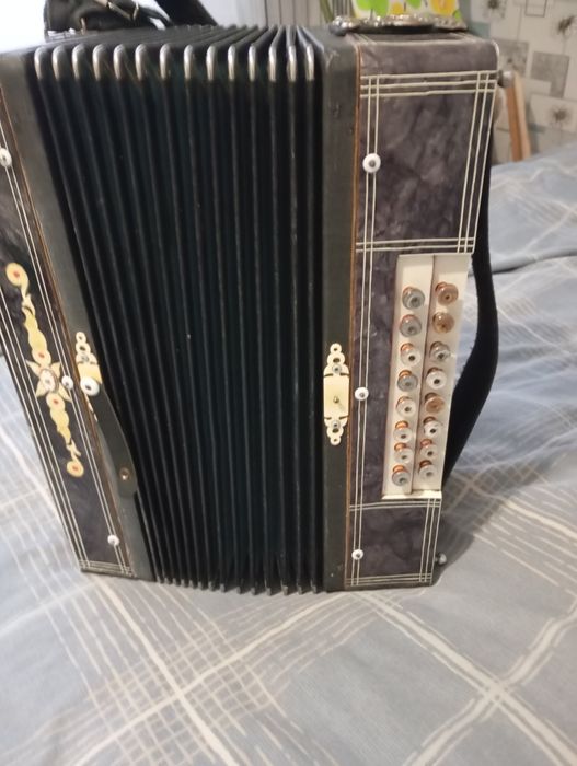 Продам гармонь, Гармошка