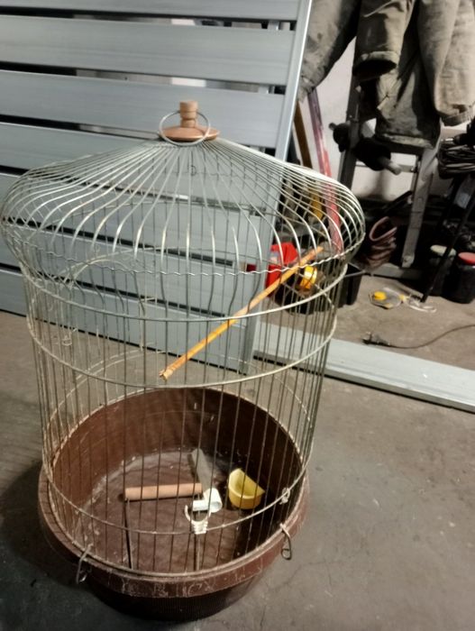 Duża klatka dla ptaszka