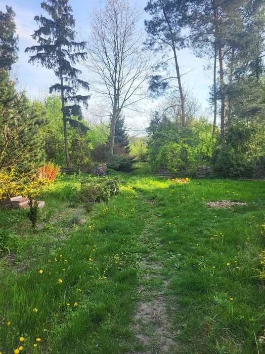 Działka budowlana z duszą, domem 1912, starodrzewem i mediami 6038 m2 ( 26 min do centrum ŁODZI )