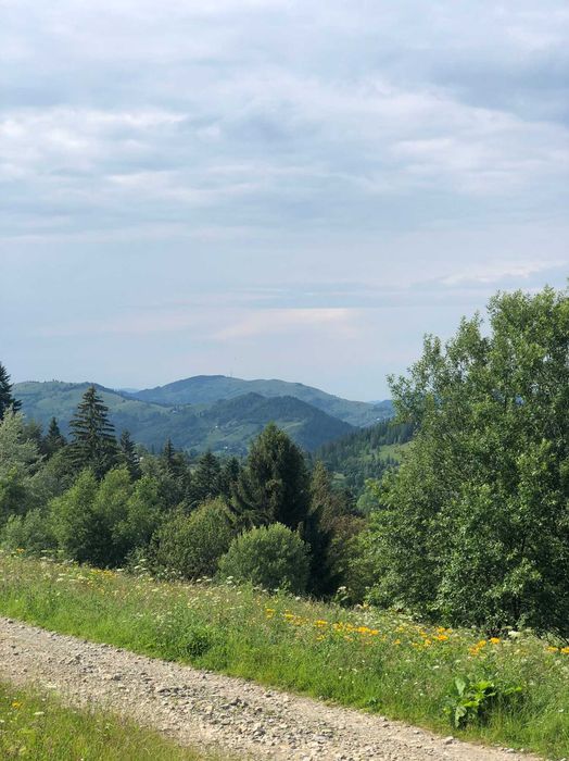 Ділянка, 60сот-5га, с.Буковець,Верховинського р-ну, Івано-Франк. обл.