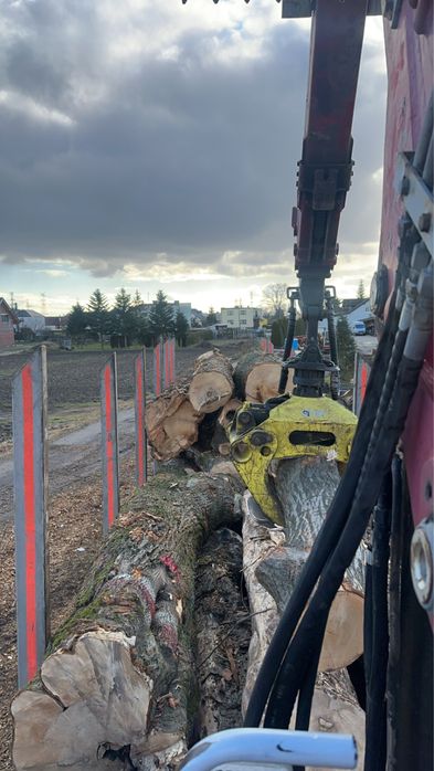 Transport drewna usługi hds dłużyca