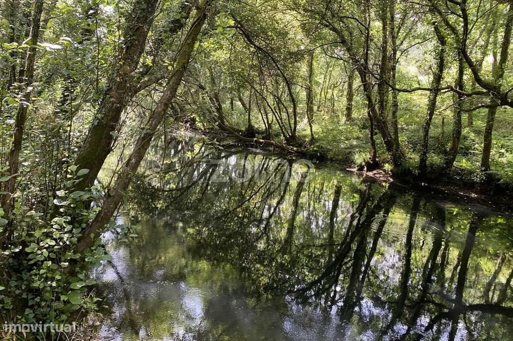 Terreno com Potencial para Turismo em Espaço Rural, Forjães, Espose...