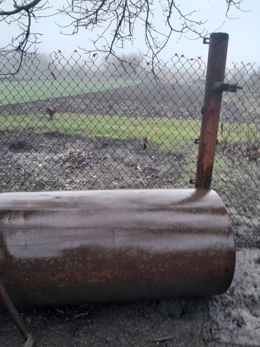 Коток  у гарному  стані