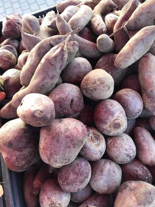 Warzywa ziemniaki hurt detal