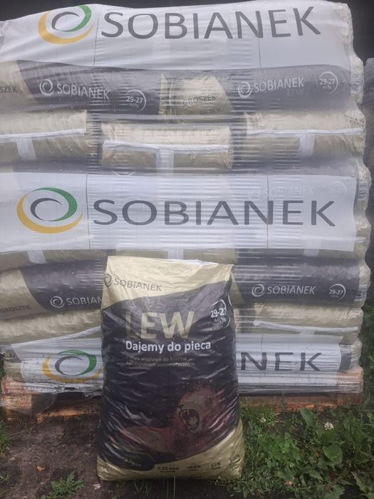 Groszek Sobianek Lew/Carboelite Premiu.