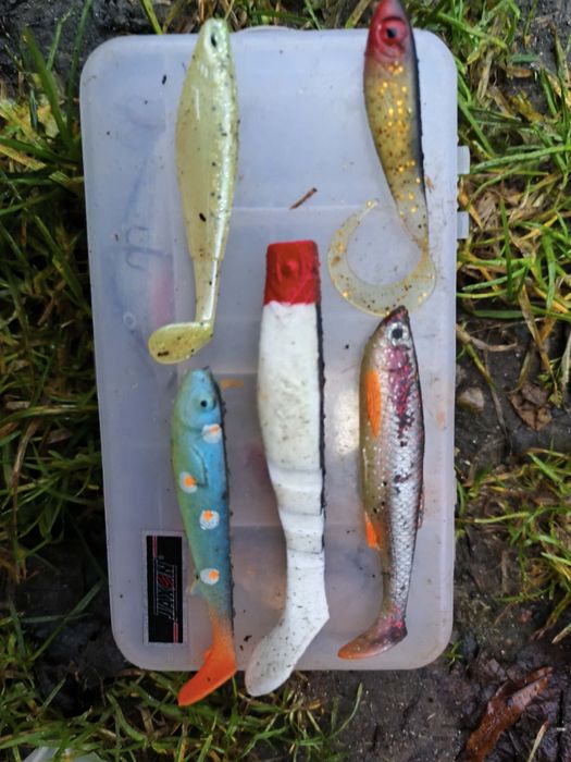 Gumy szczupak/sandacz/okoń