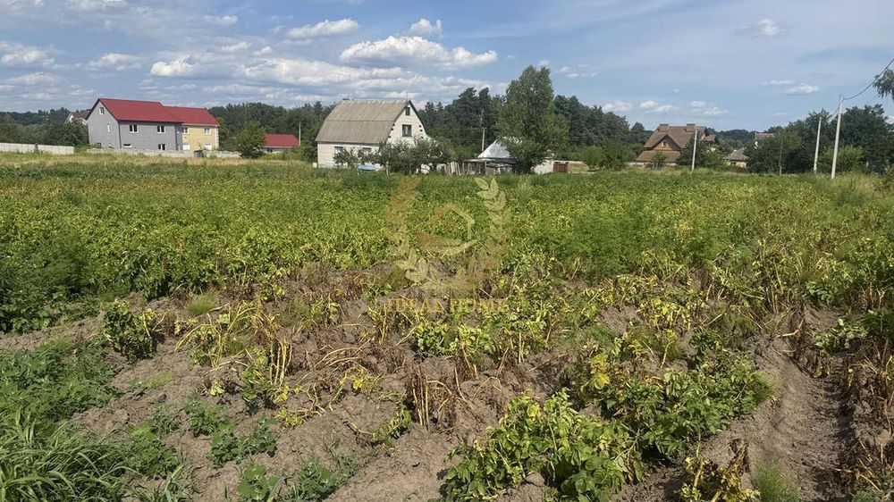 Продам земельну ділянку в Ч. Мотовилівці