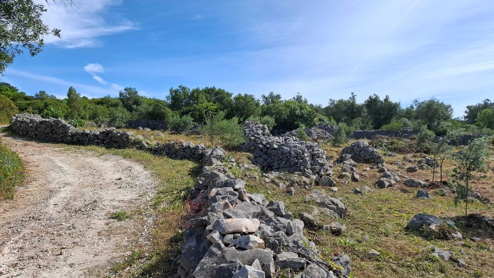 Terreno Rural, para venda nos Casais da Moreta. Monsanto ACN Santarém.