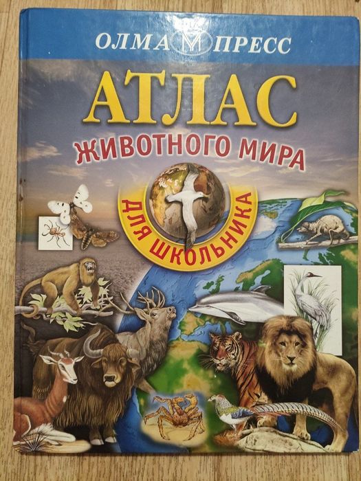 Книга для школьников