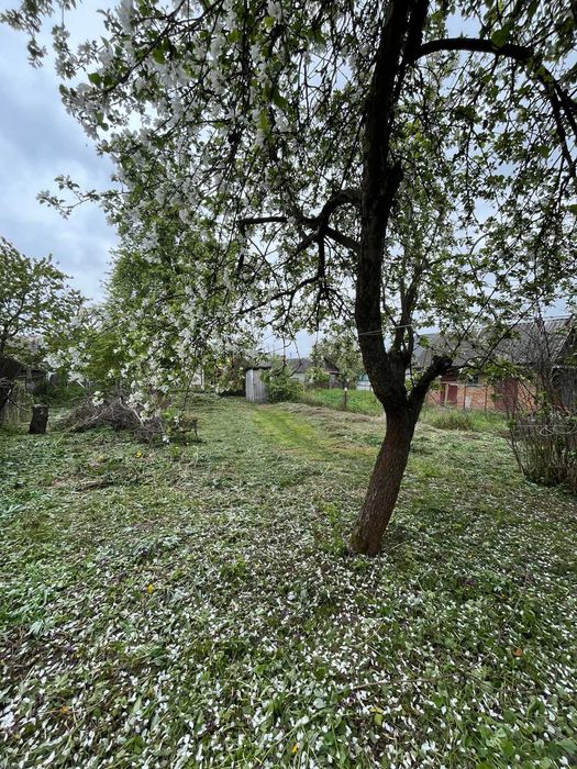 Продам ділянку Старе місто (8340)