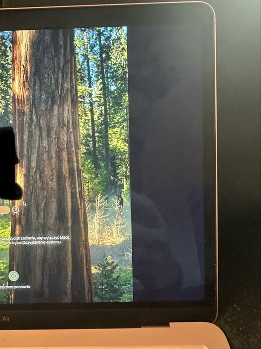 Uszkodzone skrzydło matrycy Macbook Air a2179 Rose Gold
