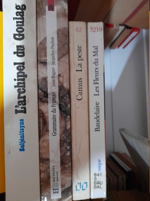 Lote de 4 livros em francês