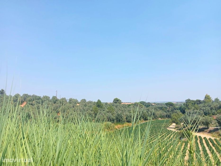 Terreno para Venda - 707 m²