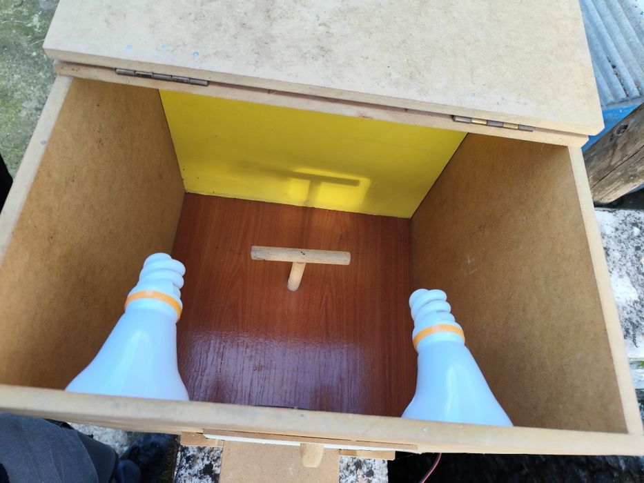 Estúdio fotográfico para aves