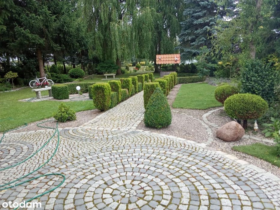 Działka pod inwestycję z mediami, 4000 m² - Widok 5