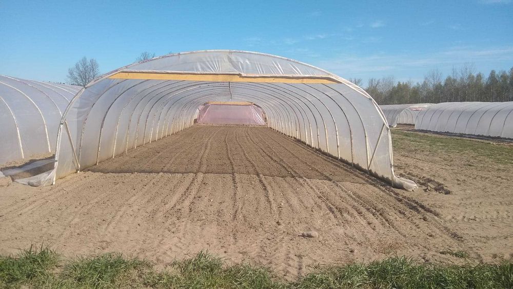 Tunel konstrukcja tunelu foliowego z rury  fi38