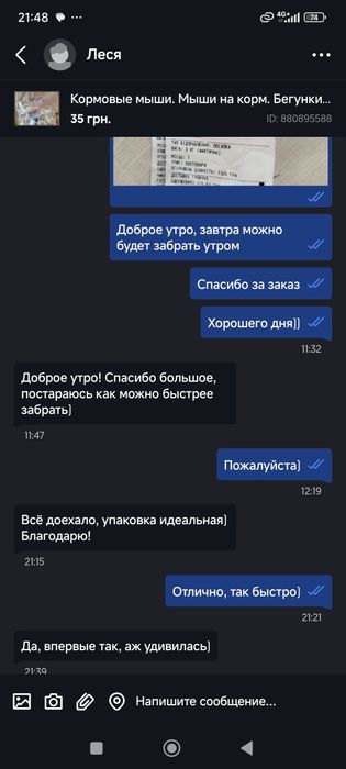 Кормовые мыши. Мыши на корм. Бегунки. Кормовые крысы. Заморозка