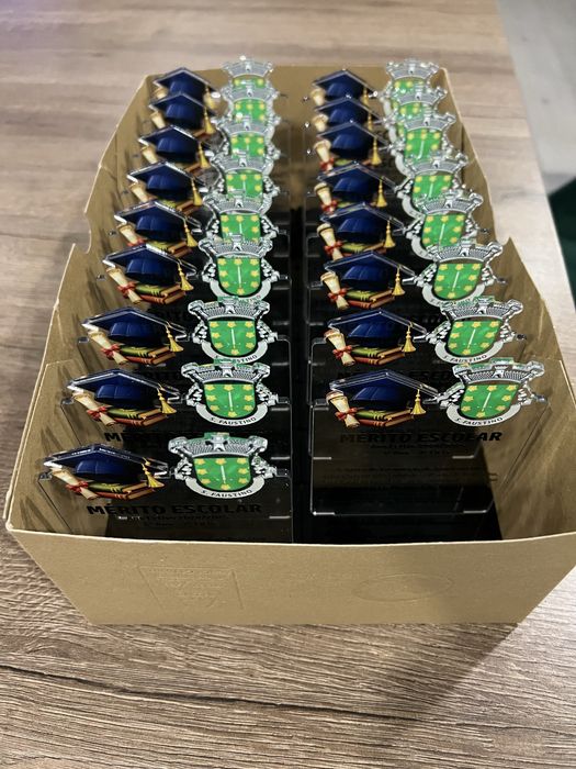 Troféus 100% personalizáveis