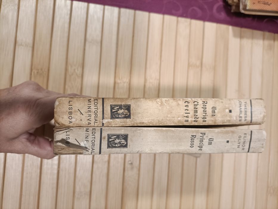 Lote 2 livros vintage