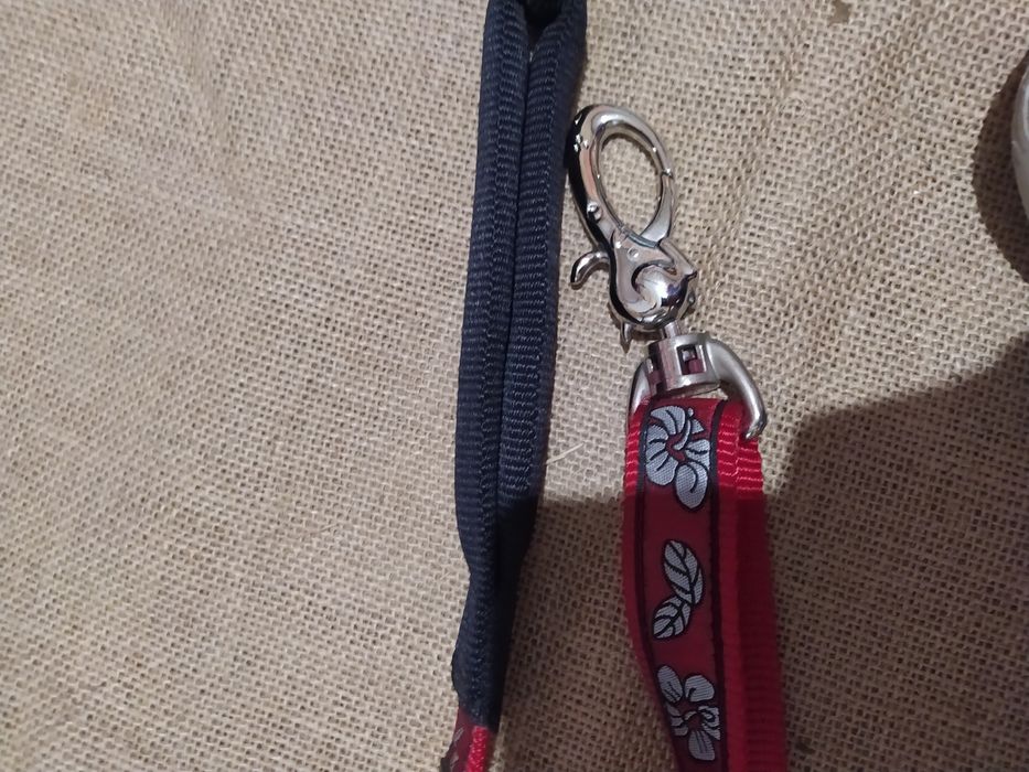 Trelas RedDingo.64585347277826122