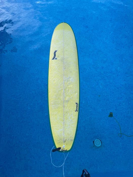 Prancha de Surf Semente